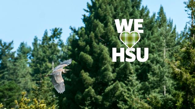 We love HSU bird